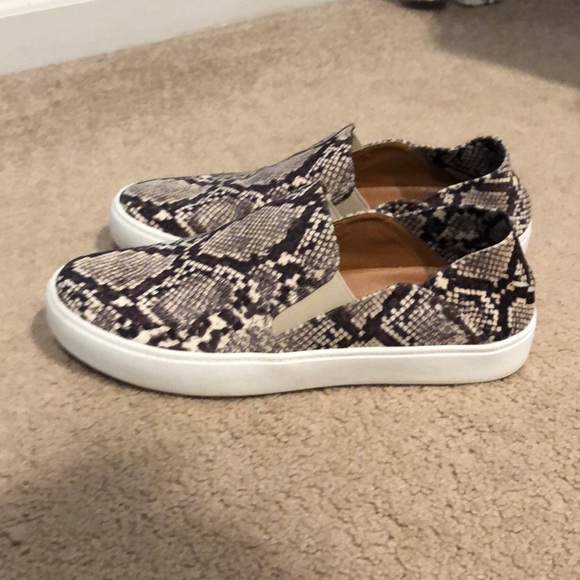 steve madden snake slip ons